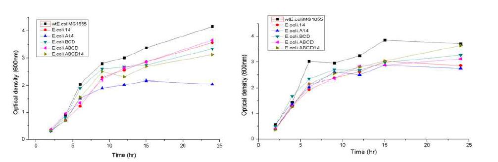 온도 변화에 따른 growth curve (좌: 25℃, 우:30℃)