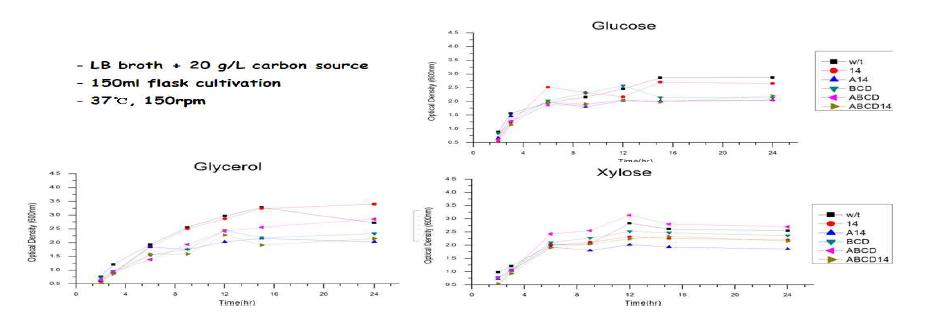 탄소원에 따른 재조합 균주의 생장성