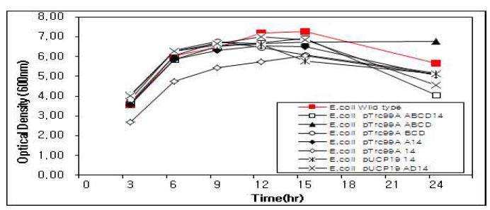 E. coli 의 야생균주(빨간색)와 재조합 균주의 성장 pattern 비교
