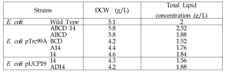 E.c oli 재조합 균의 균체농도와 총 지질농도를 야생균주와 비교한 결과