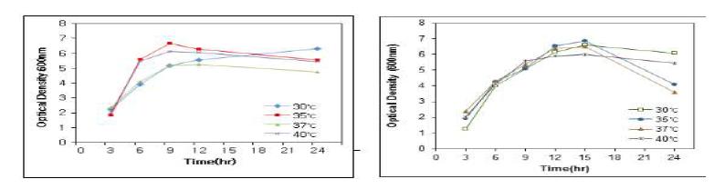 E.coli(왼쪽 그림)와 P.aeruginosa(오른쪽 그림)의 온도의 영향에 따른 성장 pattern
