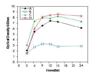 배지 조성에 따른 E. coli 재조합 균주의 성장 pattern
