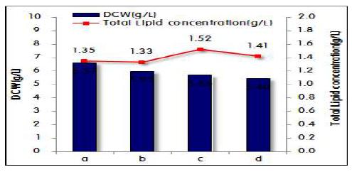 기질의 종류에 따른 E.coli 재조합 균주의 균체농도와 총 지질농도