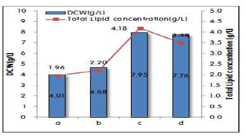 기질의 종류에 따른 P. aeruginosa 재조합 균주의 균체농도와 총 지질농도