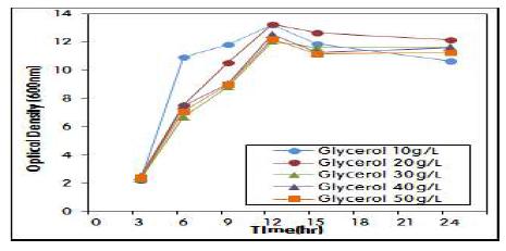 Glycerol 농도에 따른 E.coli 재조합 균주의 성장곡선