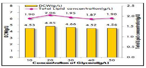 Glycerol 농도에 따른 E.coli 재조합 균주의 균체농도와 총 지질의 농도