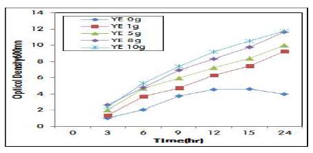 Yeast extract 농도에 따른 P.aeruginosa 재조합 균주의 성장곡선