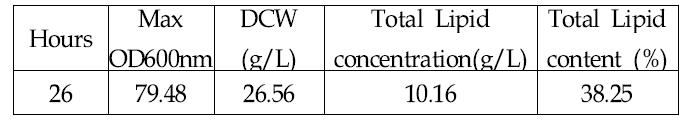 Fed-batch로 배양한 E.coli 재조합 균주의 지질함량과 균체 및 총 지질의 농도