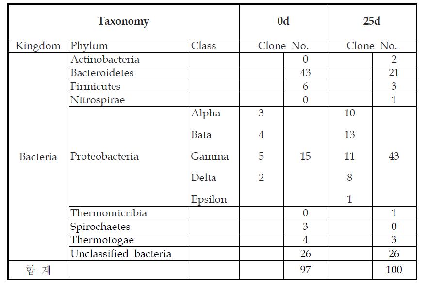 혐기 소화조 슬러지 16S rRNA gene clone library clone 수