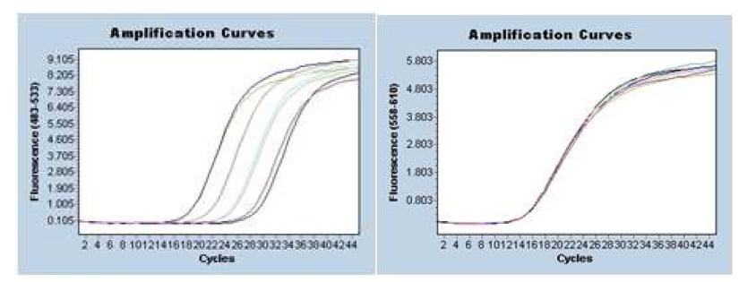 Duplex assay 실험 결과. (좌) target인 ARC set의 serial dilution 정량 결과, (우) 내부보정자인 human beta acint set의 정량 항상성.