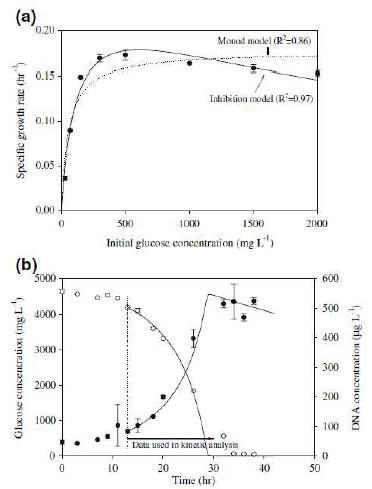 (a) 초기 기질농도에 다른 Aeromonas hydrophila 의 측정 및 예측된 비생장율. 회분식 배양은 35℃, pH 7에서 수행됨. 막대기들은 세 번 측정한 데이터의 표준 에러를 나타냄: (●) 실험적 비생장율, (- - -) Monod 모델, (-) 저해 모델. (b) 시간에 따른 glucose 와 A. hydrophila DNA 농도의 변화. 회분식 배양은 35℃, pH 7에서 수행되었으며, 혐시성 생물반응조의 유효체적은 4L 임. (●) 측정된 세포 질량 농도, (○) 측정된 glucose 농도 (-) 근사적 모델 예측
