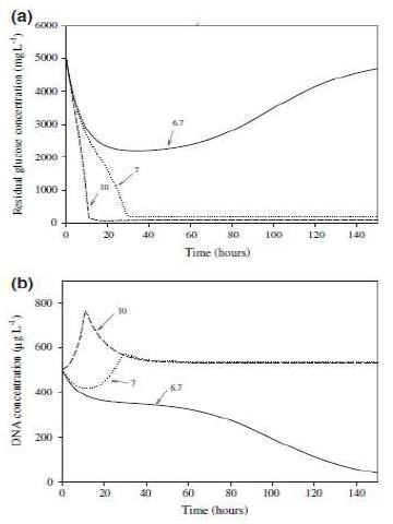 (a) 시간에 따른 glucose 의 잔존 기질농도 (b) 시간에 따른 Aeromonas hydrophila 의 DNA 농도. 화성표들은 각각 다른 수리학적 체류시간을 나타냄>