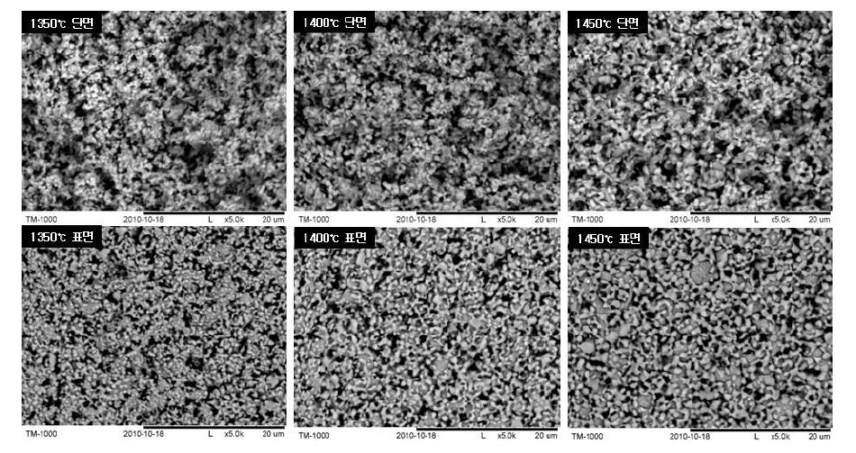 소결온도 변화에 따른 단전지 성능 평가 후 연료극 지지체 미세구조