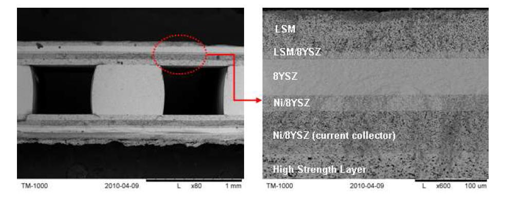 Ver 3 단전지 미세구조 분석 결과