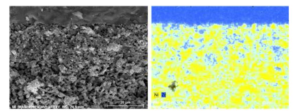 연료극 기능층 분산 정도, SEM, EDX 비교