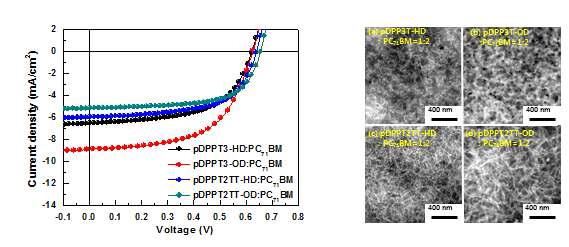 고분자의 광전변환 특성과 투과전자 현미경(TEM) 사진