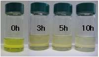 표면유기화된 TiO2 나노입자 분산액의 수열합성 시간에 따른 투명성 비교