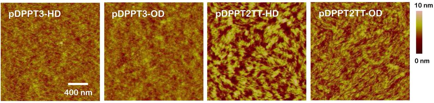 고분자 pDPPT3-HD, pDPPT3-OD, pDPPT2TT-HD, pDPPT2TT-OD 의 AFM 이미지