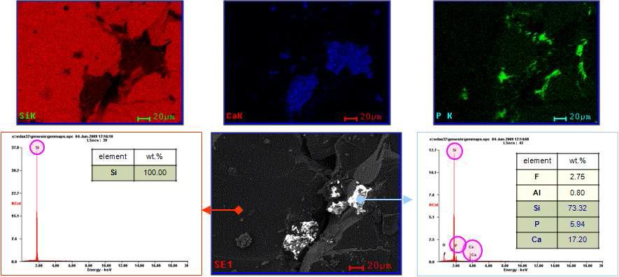 슬래그 정련후 실리콘의 EPMA분석