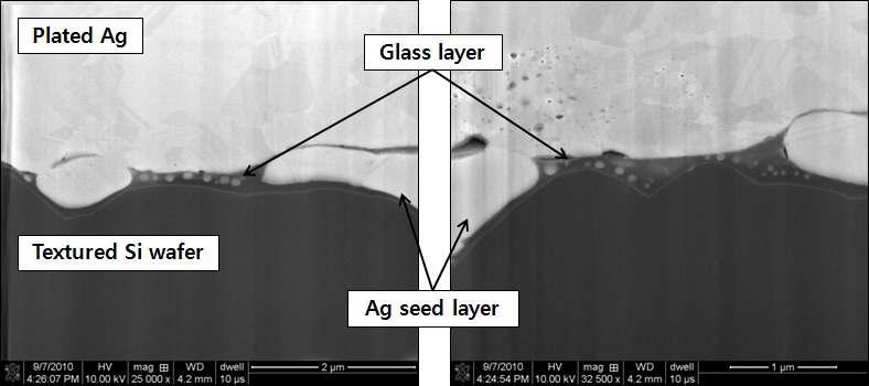 실리콘 웨이퍼와 실버 전극간의 계면구조