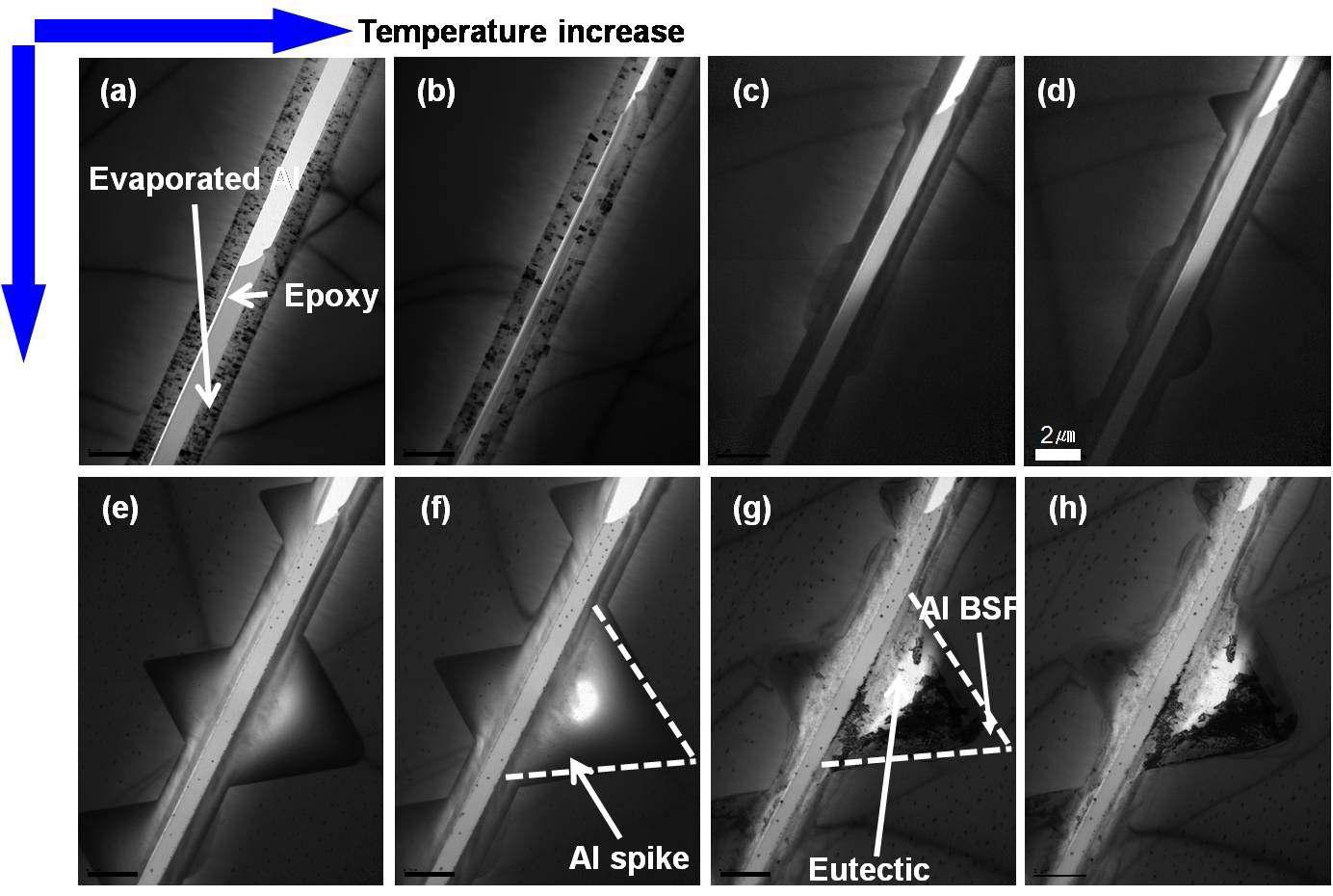 a~h : heating 시 시간에 따른 Al evaporation증착한 샘플의 In-situ TEM 사진