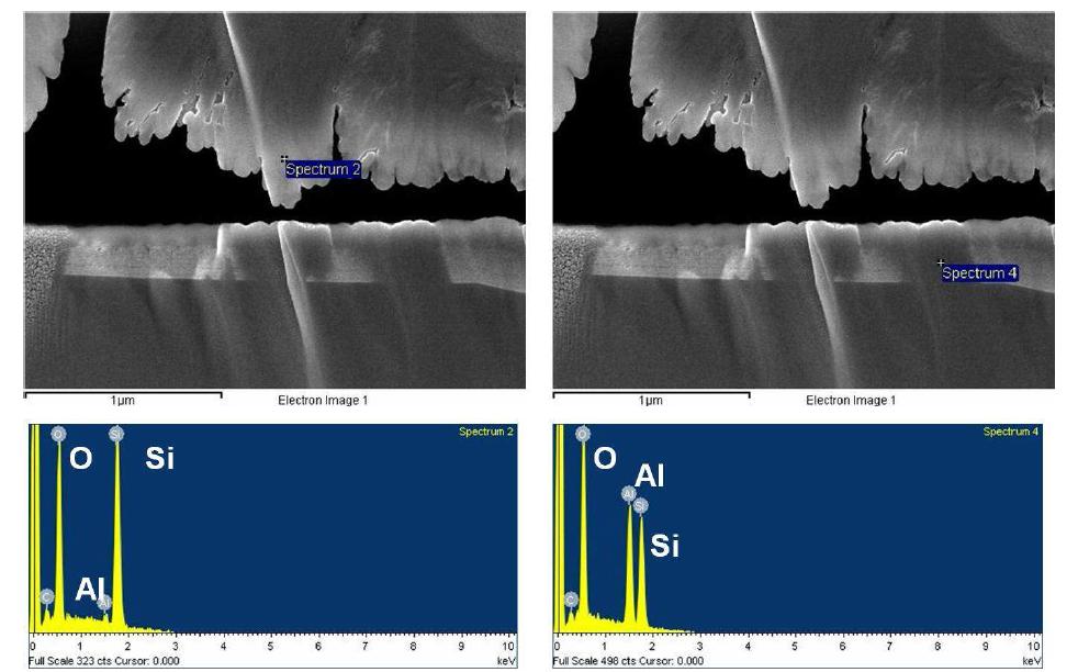 계면에 형성된 막에 대한 EDX 분석 및 SEM 사진