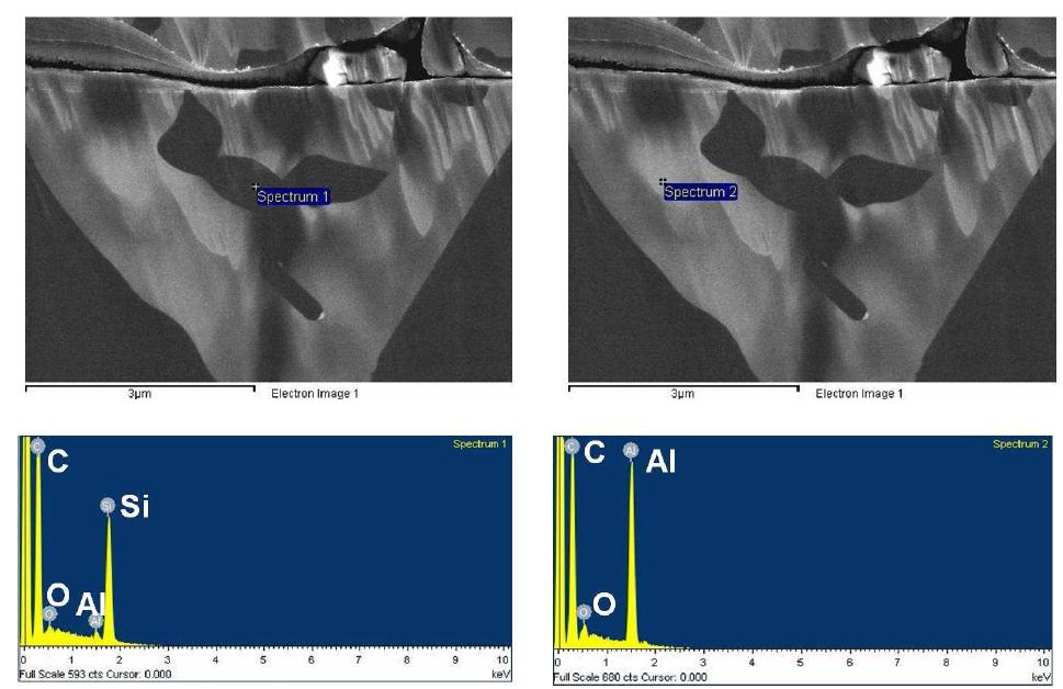 Al spike에 대한 EDX 조사 및 SEM 사진