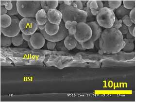 전 영역에 걸쳐 형성된 alloy와 BSF의 모습