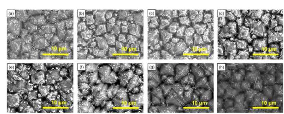 전면 Ag 전극의 너비에 따른 실리콘 기판 위의 Ag crystallites 형상(a)80μm (b)100μm (c)120μm (d)200μm (e)500μm (f)1000μm (g)1500μm (h)2000μm