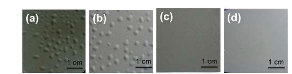 번 아웃 (a) 450 °C (b) 550 °C (c) 650 °C (d) 750 °C, 소성 공정 후의 표면 형상