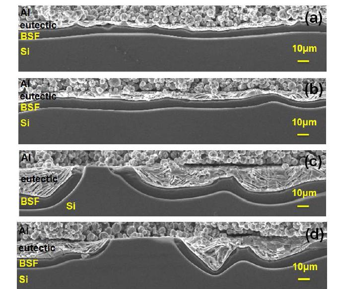 번 아웃 온도에 따른 Al/Si 계면의 SEM 단면 형상(a) 450 °C, (b) 550 °C, (c) 650 °C, (d) 750 °C