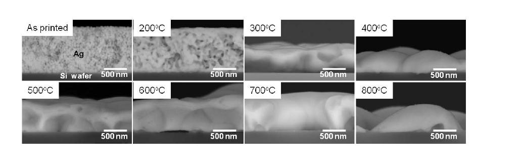 상용 은 잉크와 SiNx 반사방지막이 코팅된 실리콘 웨이퍼의 온도별 반응