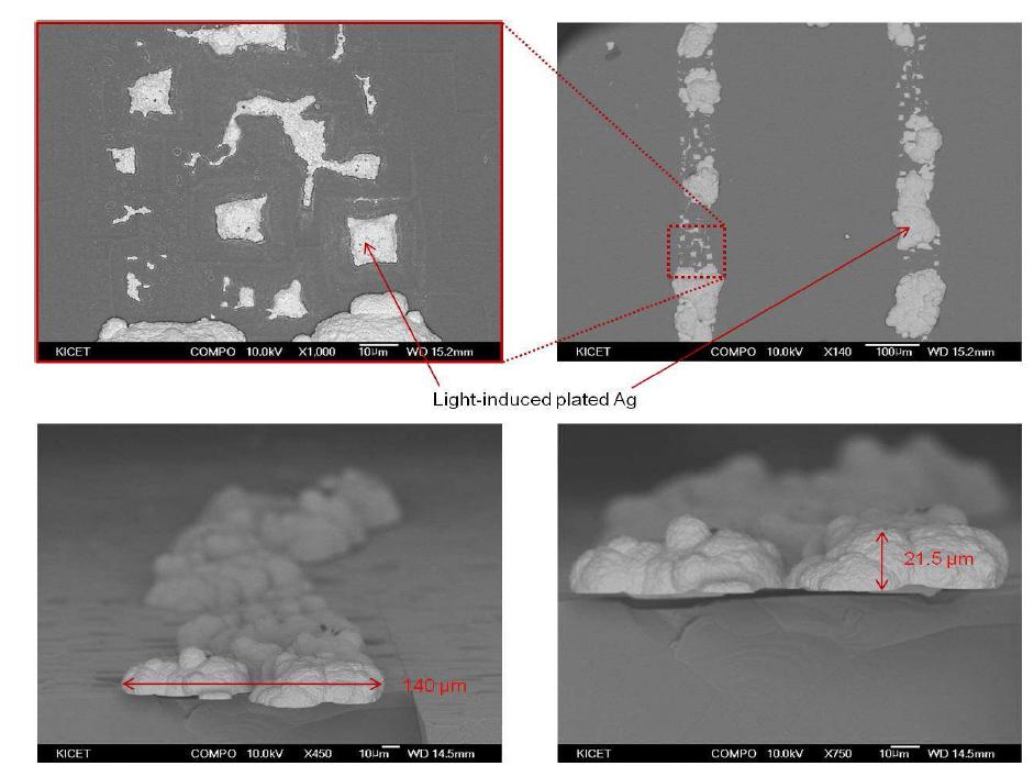 광유도도금법을 통해 은 시드층의 종횡비 증대