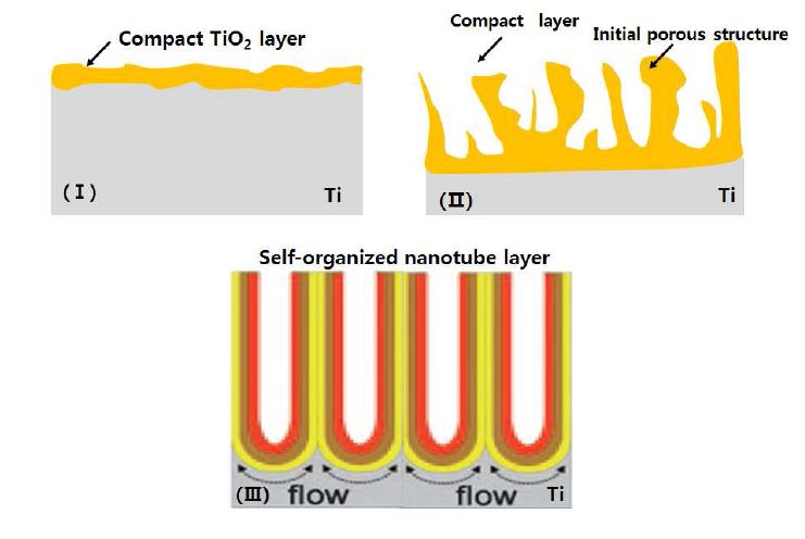 corresponding evolution of the TiO2 morphology[27].