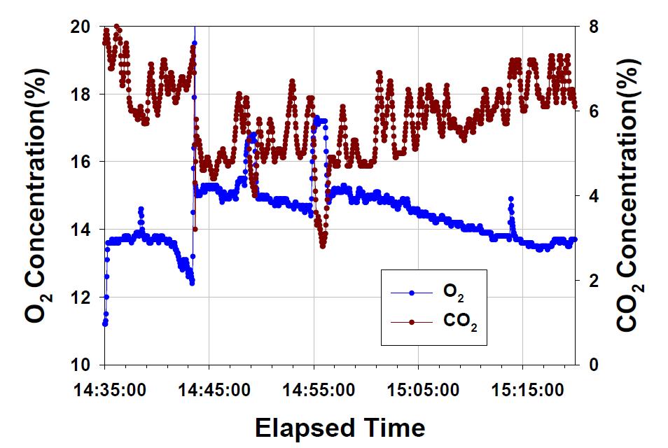 고온 FGR적용 연소 시 O2 및 CO2 측정결과 (미분탄 연료)