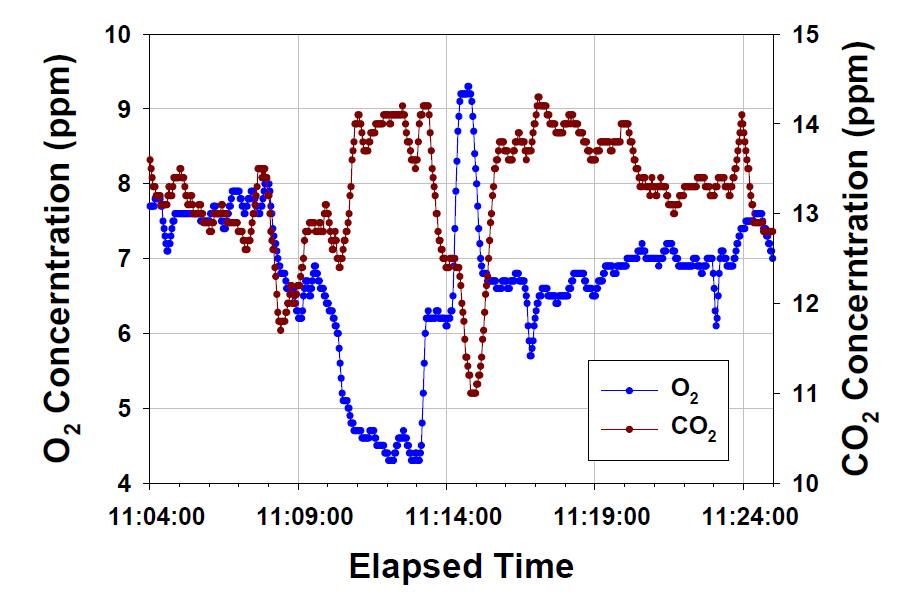 시작품 운전 시 O2 및 CO2 측정결과 (슬러지 연료)