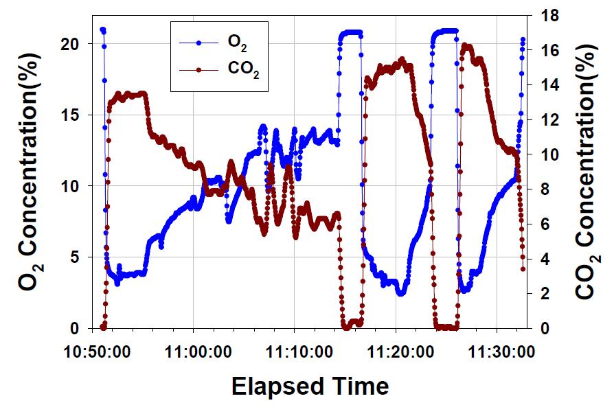 시작품 운전 시 O2 및 CO2 측정결과 (미분탄 연료)