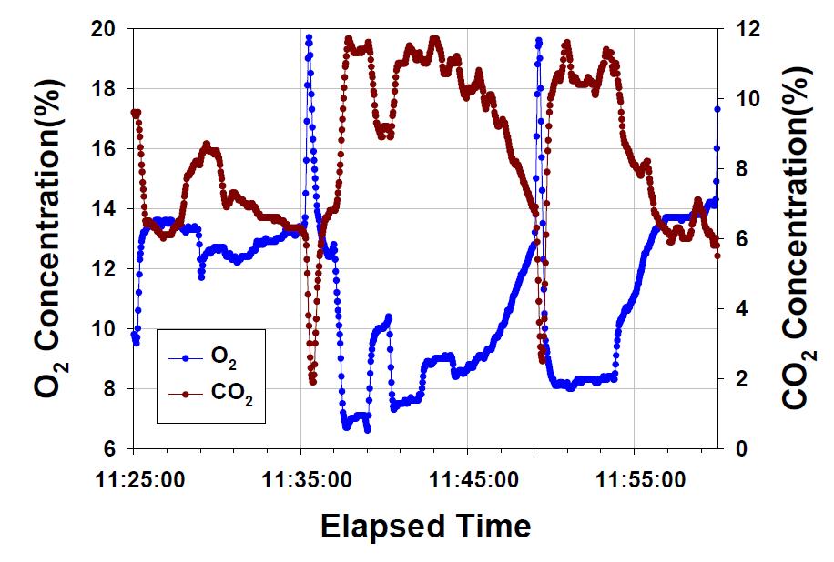 시작품 운전 시 O2 및 CO2 측정결과 (슬러지 연료)
