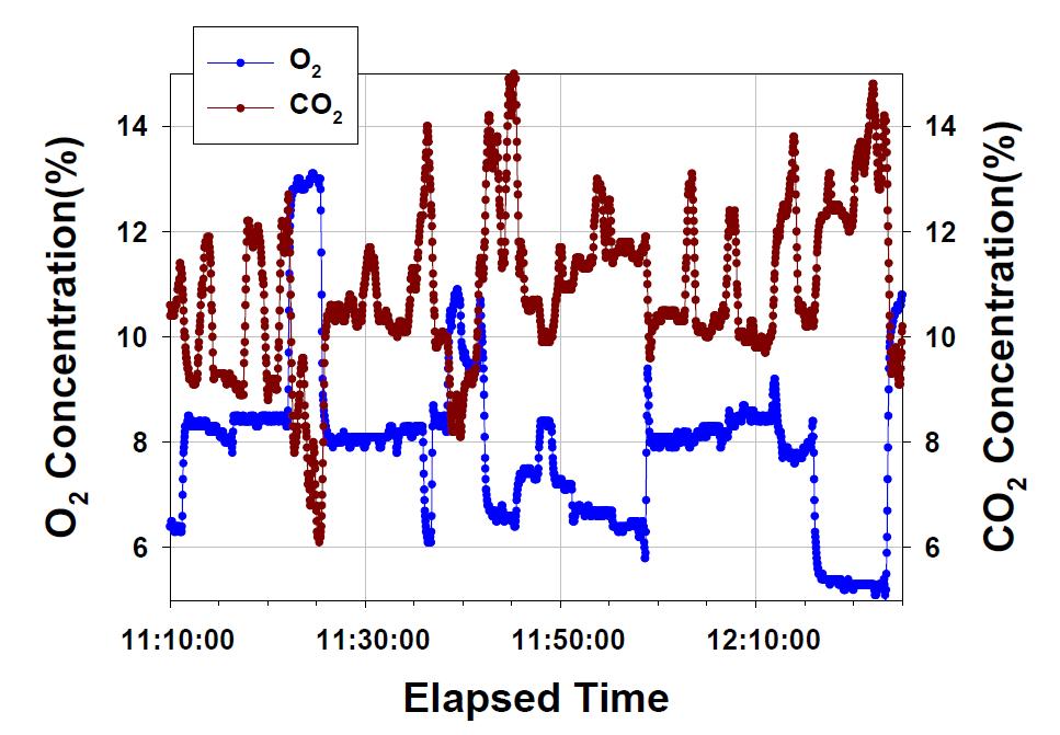 시작품 운전 시 O2 및 CO2 측정결과 (슬러지 연료)