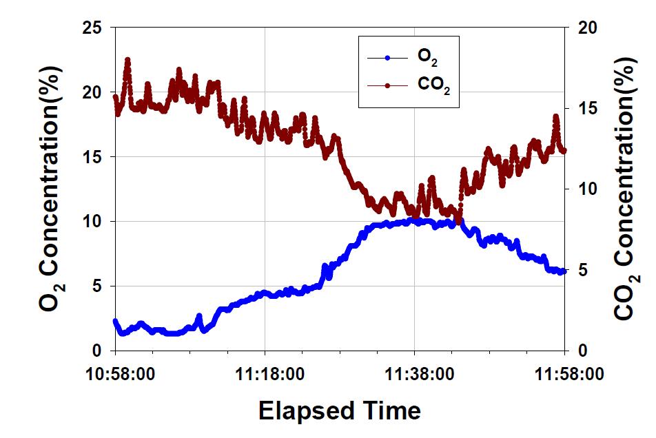 시작품 운전 시 O2 및 CO2 측정결과 (슬러지 연료)