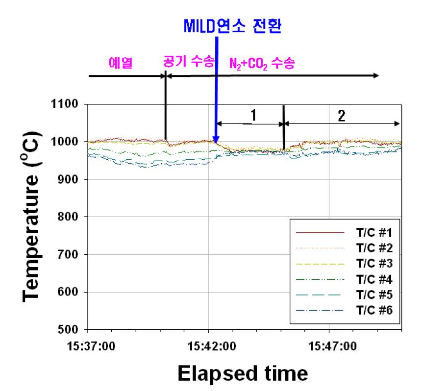 MILD 연소 전환 시의 온도 분포의 변화-2 (톱밥)