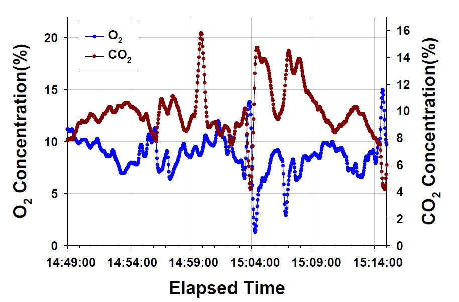 슬러지 연소 시의 O2및 CO2측정 결과 (공기 및 질소 수송)