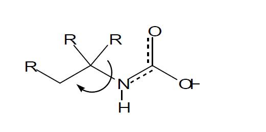 아민―CO2 carbamic acid에 대한 입체장애 계산에 사용한 torsion angle