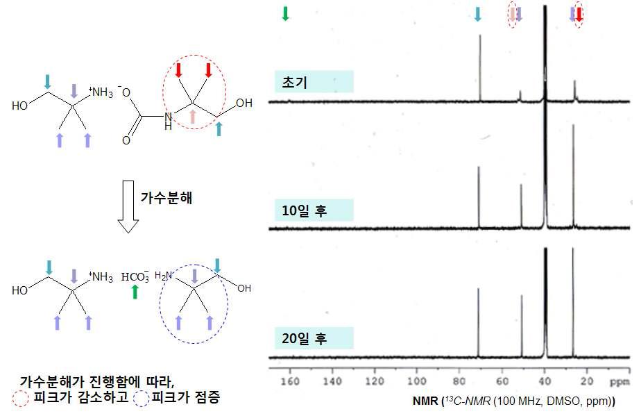 공기에 노출 후 DMSO 용액내의 AMP-카바메이트 염의 13C-NMR 스펙트럼 변화