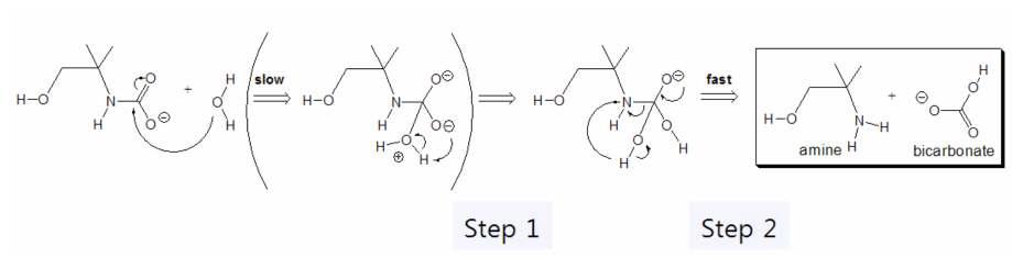 아민카바메이트의 가수분해 반응경로의 예