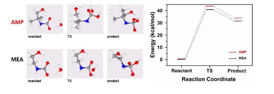 AMP-와 MEA-카바메이트의 가수분해반응(1단계 반응) : (a) 반응물, 전이상태, 생성물 구조와 (b) 반응경로 계산