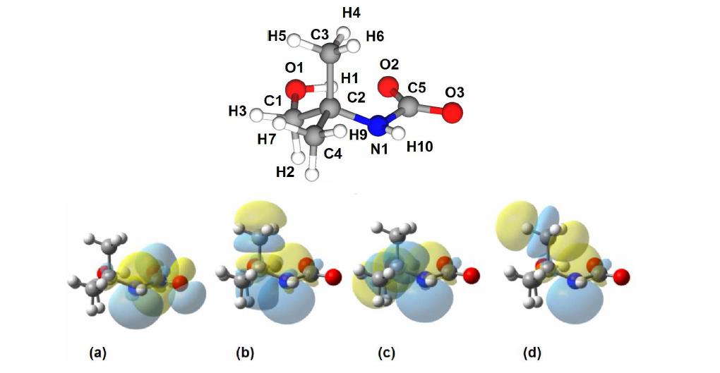 AMP-카바메이트의 hyperconjugation : N1 LP vs. (a) BD* C5-O3, (b) BD* C2-C3, (c) BD* C1-C2, (d) BD*C3-H4 (LP : lone electron pair orbital, BD*: antibonding orbital)