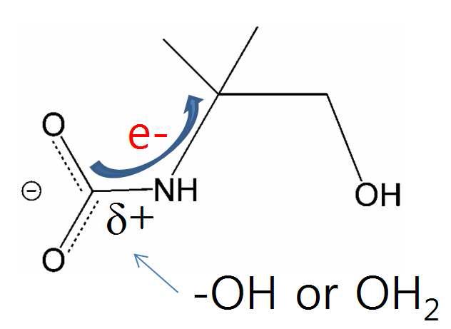 AMP-카바메이트에서의 전자이동 및 물의 친핵성 반응 모식도