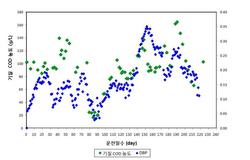 기질 COD 농도 변화에 따른 바이오가스 발생량
