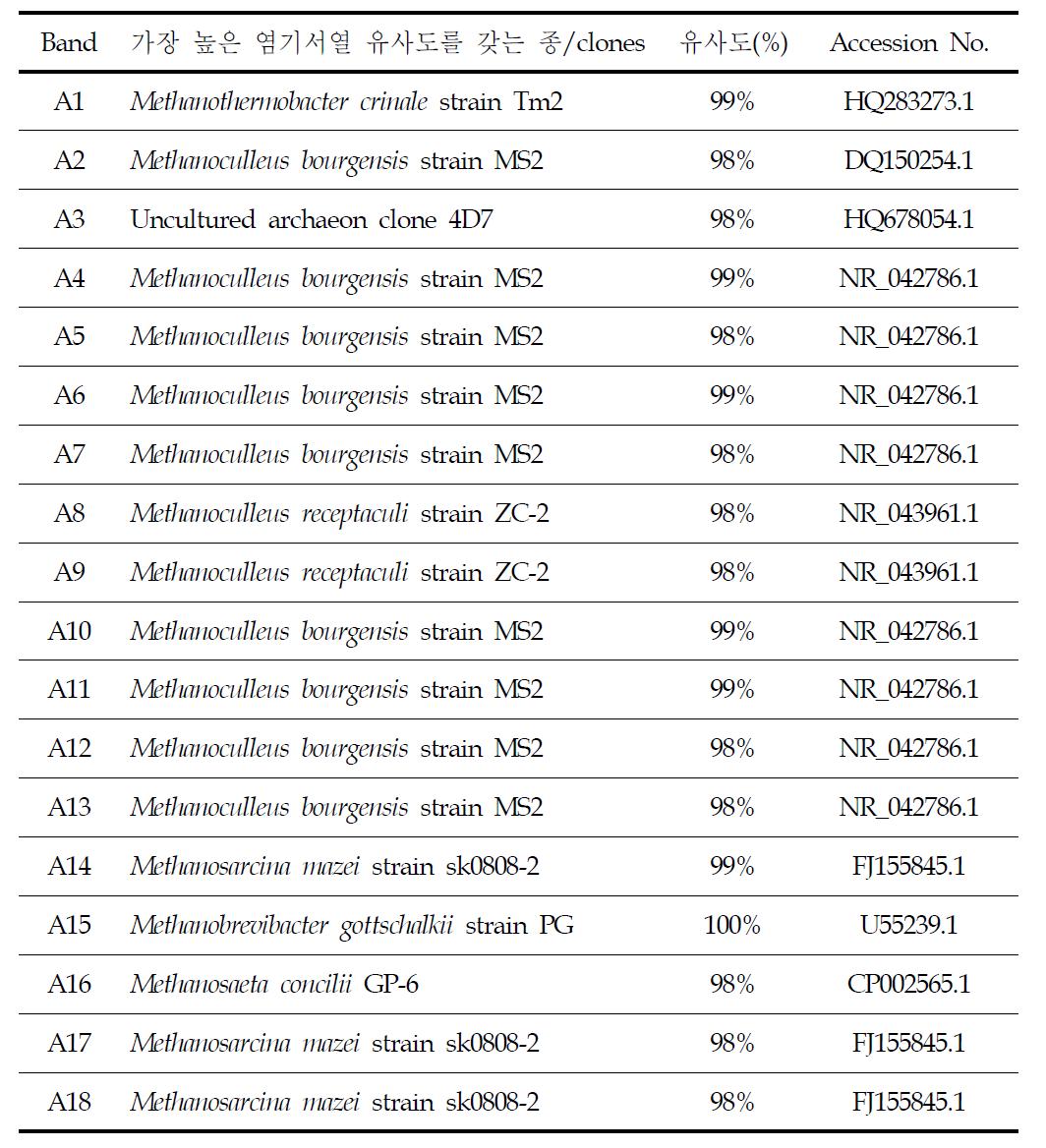 그림 3-78에 해당하는 Band와 가장 높은 유사도를 갖는 종 또는 클론 (메탄생성균)
